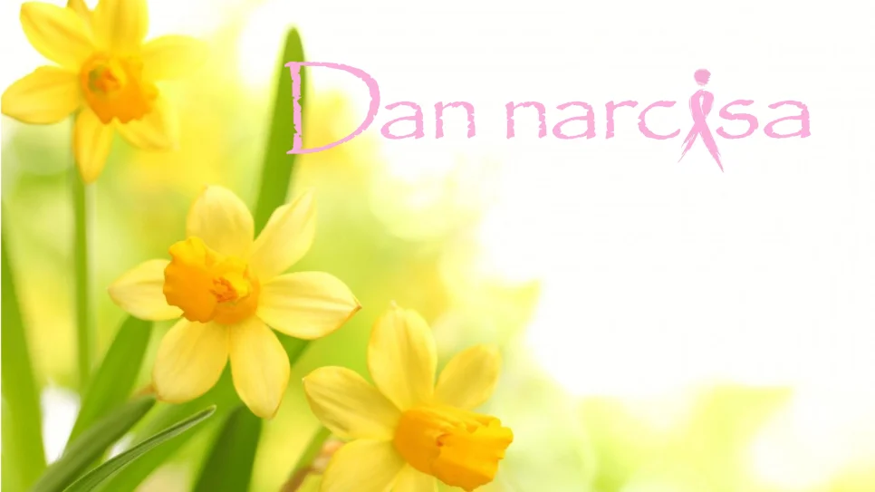 Dan narcisa