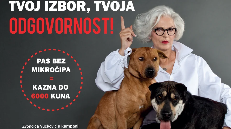 Tvoj izbor tvoja odgovornost_Zvoncica Vuckovic