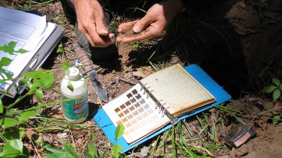 best-soil-test-kit